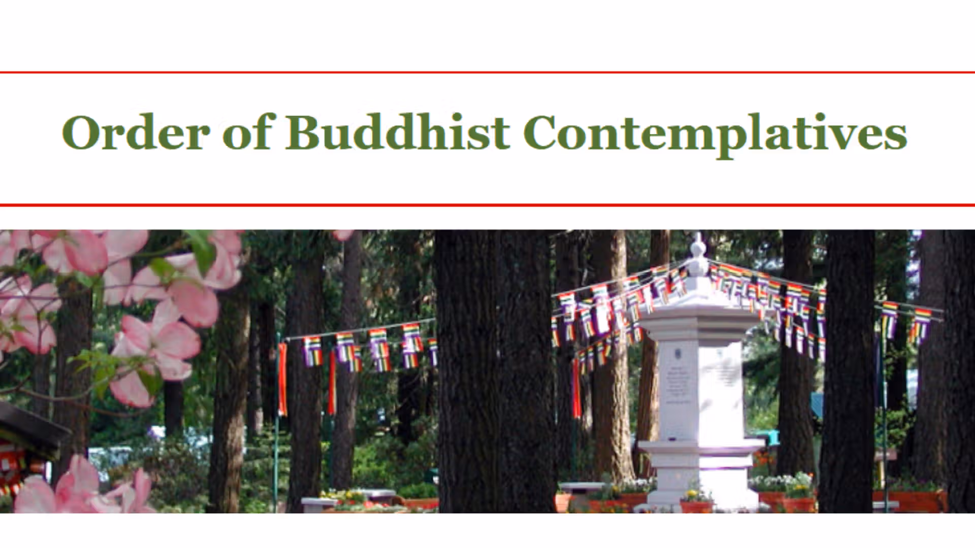 Order of Buddhist Contemplatives