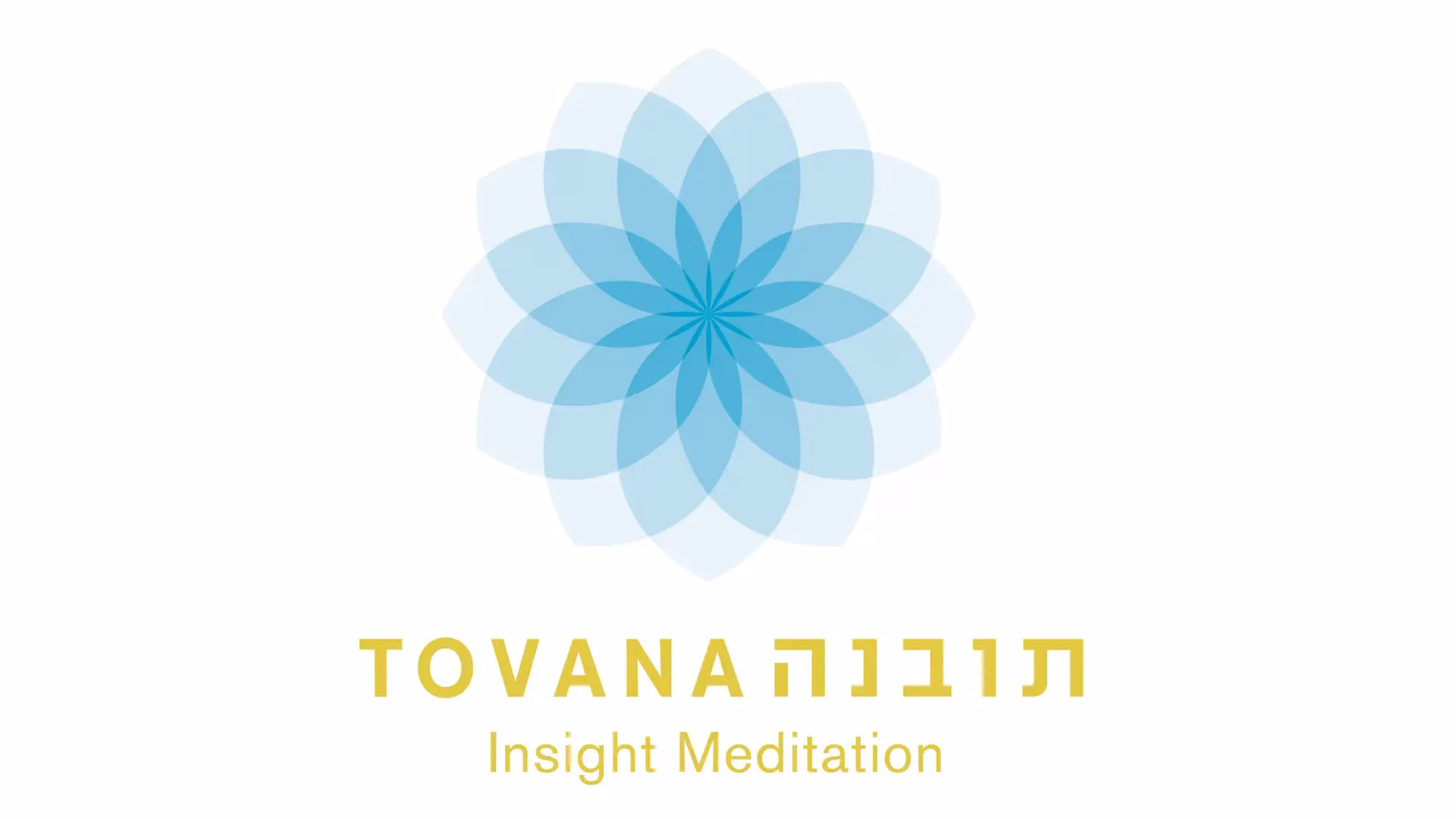 Tovana – Israel Insight Society